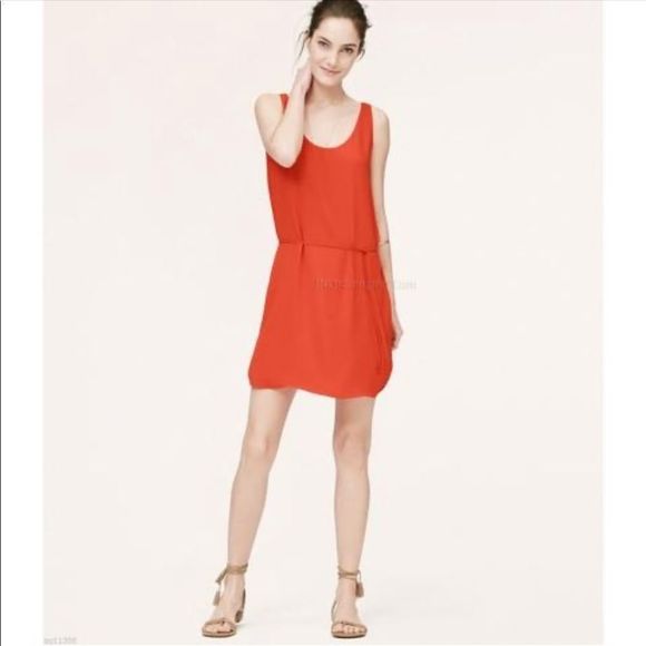 Ann Taylor Loft Scoop Neck Tie Waist Tank Dress - Picture 1 of 8